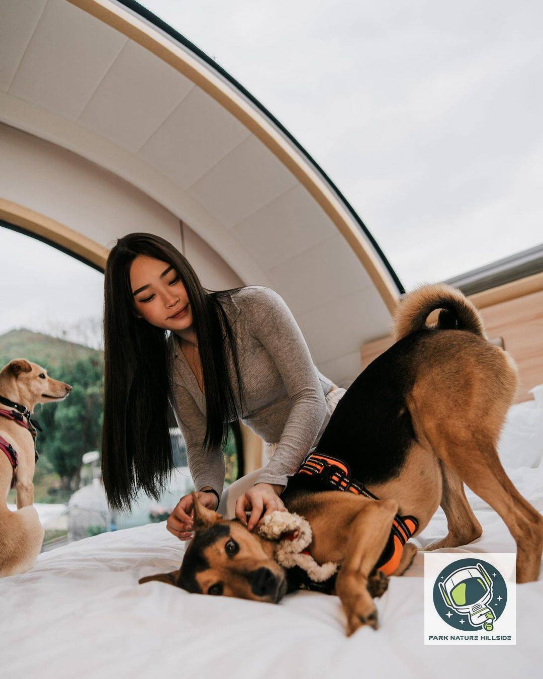 【宠物友善】🐶 星野露营车 < 2-4人 >