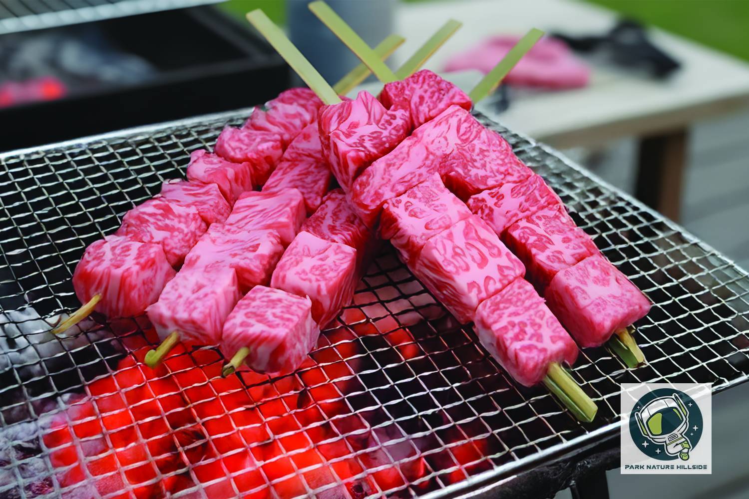 【數量限定】急凍日本鹿兒島A5黑毛和牛 BMS 12 (5串)